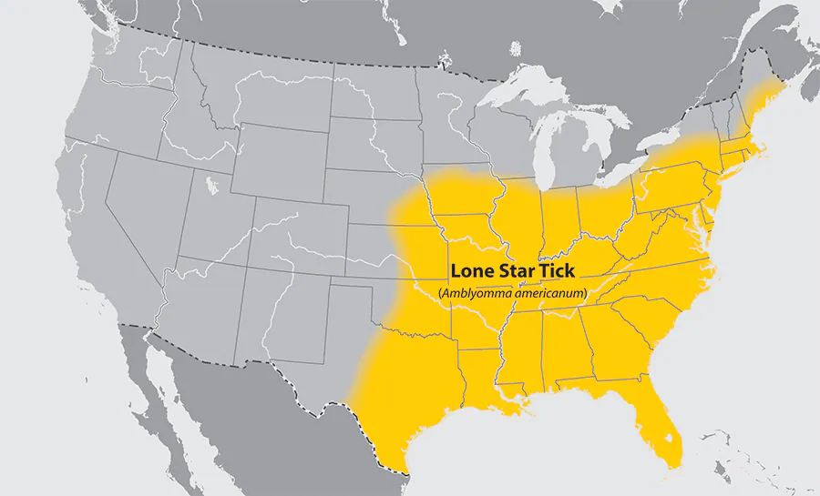 map of where lone start tick is located