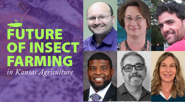 Lime green text saying "Future of Insect Faming in Agriculture" with words explaining that the event is on April 22 and is a free event.