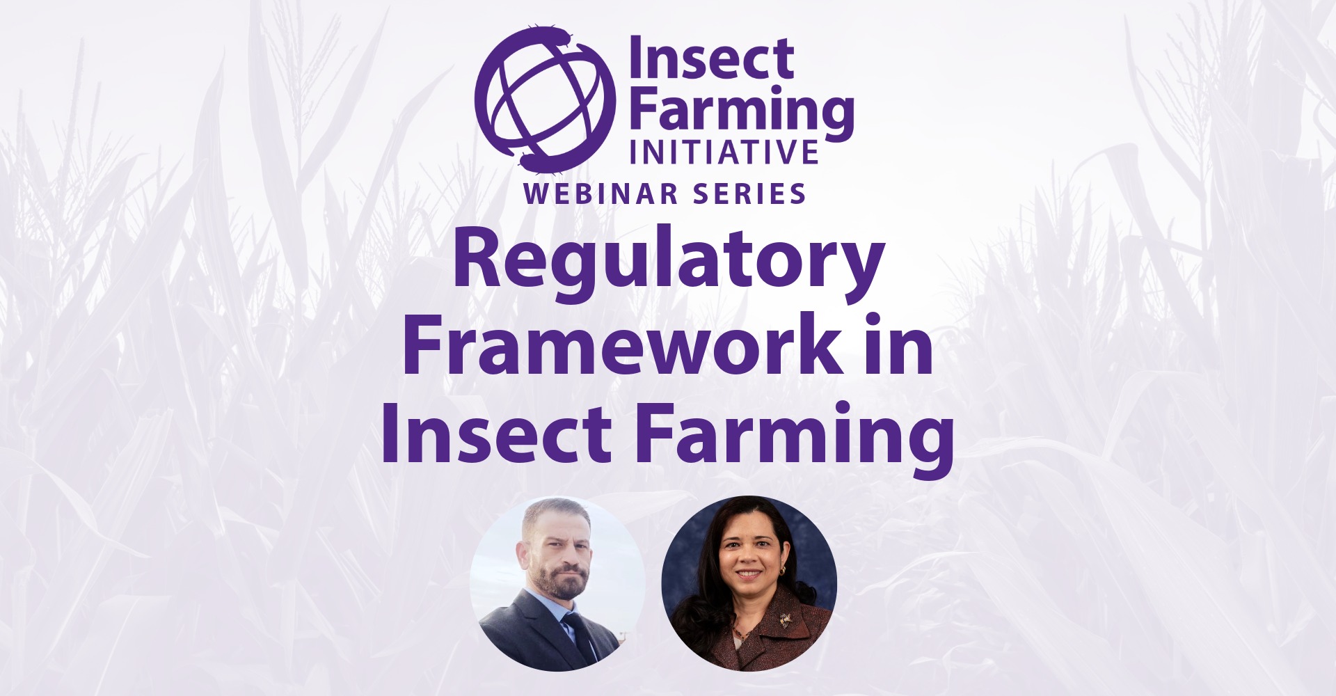 Regulatory Framework in Insect Farming