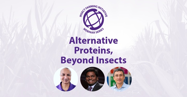 Alternative Proteins, Beyond Insects 