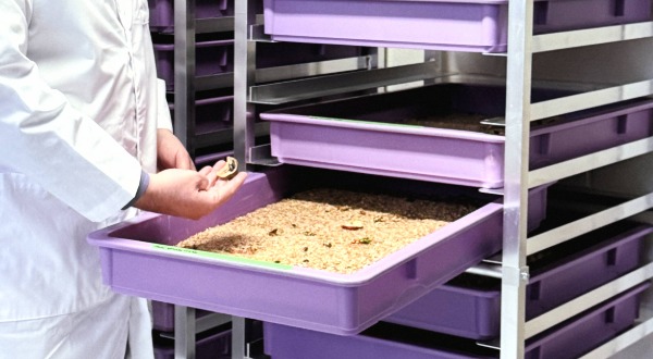 Extension talk in a bar with people sitting on haybales