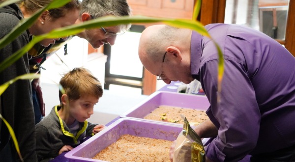 K-State faculty showing family yellow mealworm rearing trays.