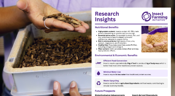 Photo of person holding some farmed insects with a sneak peak on research insights