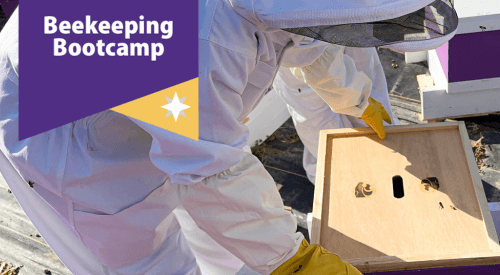 preview of Beekeeping Bootcamp