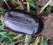 May beetle