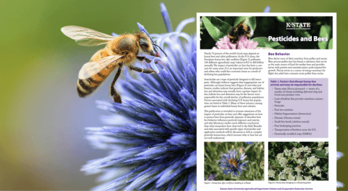 Bees & Pesticide
