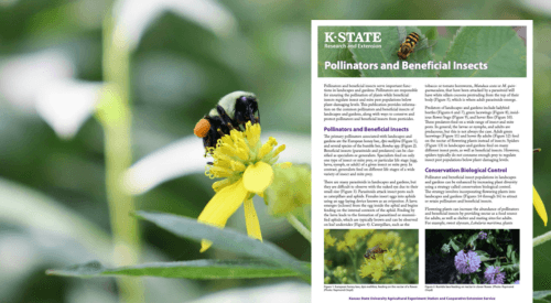 Pollinators and Beneficial Insects