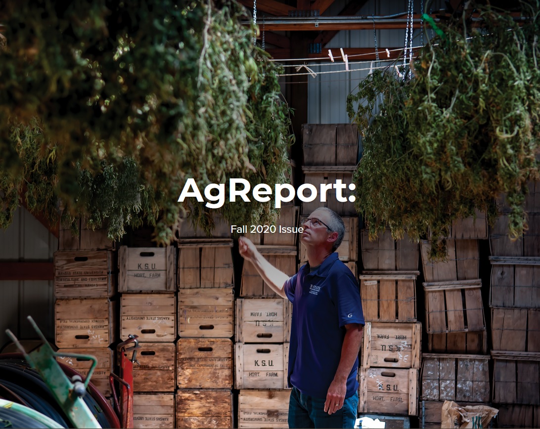 Ag Report Link