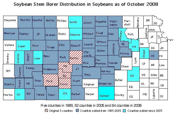 extension_content>Soybean Stem Borer 2008.jpg