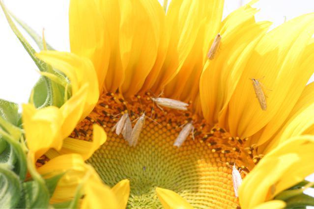 Click to enlarge .. 300 X 200(16K)