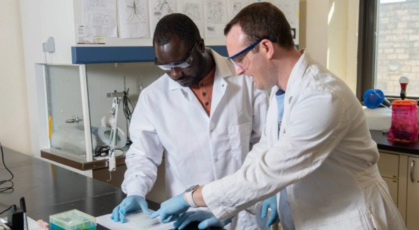 Graduate students working in the IMEC lab space.